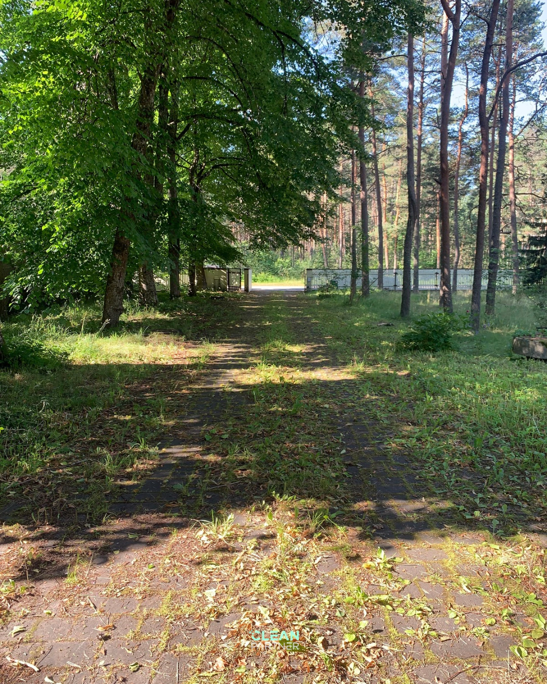 Tänavakivide puhastamine